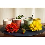 Studio Tavola - Koffiekopjes Rimini - 160 ml - 6 Stuks - Gemixte Kleuren