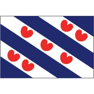 Friese vlag 100x150 200x300