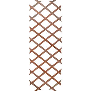 Talen Tools Klimrek - Hout - Klimplanten - 60 X 180 cm