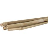 Talen Tools Bamboestokken 120 cm - Ondersteun Plantgroei Natuurlijk - 5 Stuks