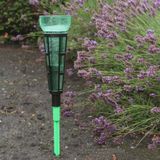 Talentools Regenmeter met Grondpen Groen