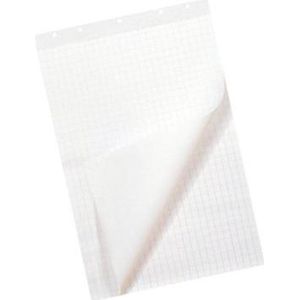 FLIPOVERPAP QUANTORE 65X100CM BLANCO/RUIT 80GR 1 STUK