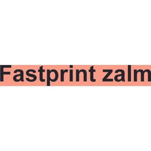 Kopieerpapier Fastprint Zalm A4 80gr