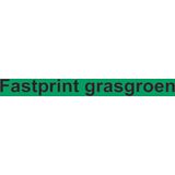 Fastprint - Kopieerpapier - Grasgroen - A4 - 160 gram - Pak à 250 vel
