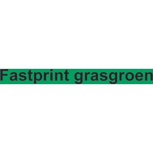 Kopieerpapier Fastprint Grasgroen A4 120gr