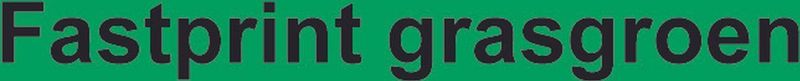 Kopieerpapier Fastprint Grasgroen A4 120gr