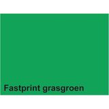 Fastprint - A4 Kopieerpapier - Grasgroen - 160gr - 50 Vel