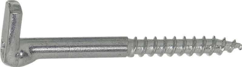 Schroeven - Schroefduim - 65X18 - IJzer Gegalvaniseerd - 100 Stuks