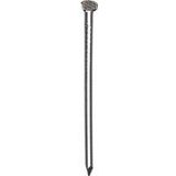 Van der Loo Draadnagel platkop blank x 260mm 5kg