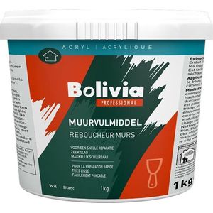 Muurvulmiddel - Wit - Voor Binnen - Geschikt voor Minerale Ondergronden