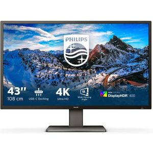 Philips P Line 439P1/00 LED display 108 cm (42.5") 3840 x 2160 Pixels 4K Ultra HD Zwart