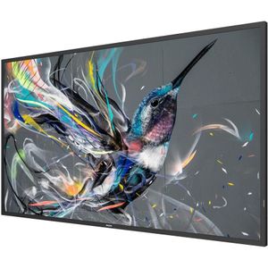 Philips - 50BDL3511Q/00 - 50 Inch - 4K LED TV - Zwart