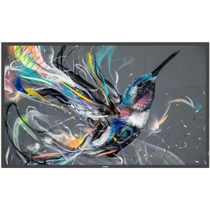 Philips Signage Solutions Q-Line - Beeldscherm - Zwart - 4K Ultra HD