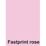 Quantore - Kopieerpapier - A4 - 120g - Grijs - 250 Vel