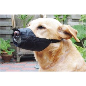 Beeztees Veiligheidsmuilband - Hond - XL-Normaal - 24 cm