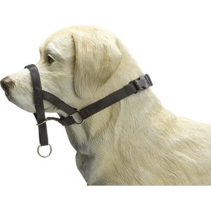 Beeztees Dog Control - Halsband Hond - Zwart - L
