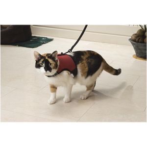 Kattenharnas en riem set voor wandelen ontsnappingsbestendig, verstelbaar zacht gewatteerd vest met loopdemping, comfortabele buitenjas voor huisdier kitten (kleur: C, maat: L Kattenharnas en riem set voor wandelen ontsnappingsbestendig, verstelbaar zacht gewatteerd vest met loopdemping, comfortabele buitenjas voor huisdier kitten (kleur: C, maat: L