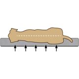 Beeztees memory foam Zira - Hondenkussen - Grijs - 100x70x9cm