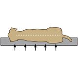 Beeztees Zia - Orthopedische Hondenmand - Beige - 60x40x20 cm