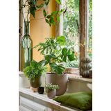 Bloempot - Wit - Keramiek