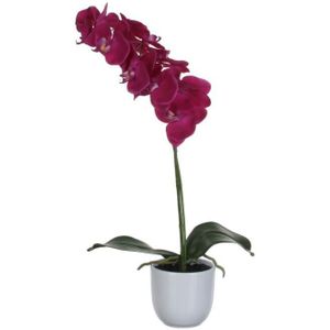Mica Kunstpflanze Phalaenopsis im Topf violett, 60 x 16 cm Kunstpflanzen