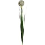 Mica Decorations Kunstbloem - allium bol sierui - wit - 80 cm