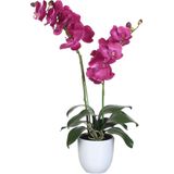 Mica Decorations - Orchidee - Kunstplant - Roze - Polyester