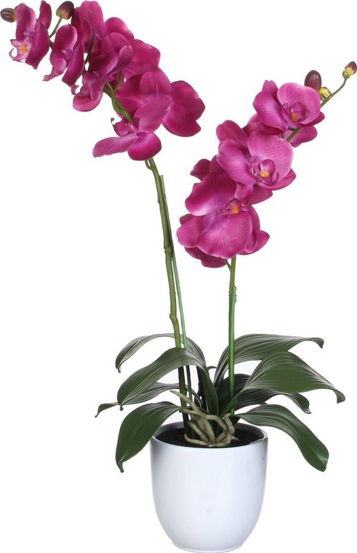Mica Decorations - Orchidee - Kunstplant - Roze - Polyester