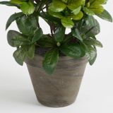 Mica Decorations Kunstplant - Azalea - groen/wit - 27 cm - Met mooie bloemen