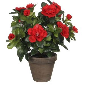 Mica Decorations Azalea Kunstplant in Bloempot Stan - H27 x Ø20 cm - Rood