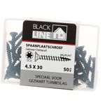 Blackline - Spaanplaatschroef - Zwart - Staal - 50 stuks