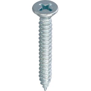 Plaatschroeven platkop 2,9x9,5mm PH1 (200 Stuks)