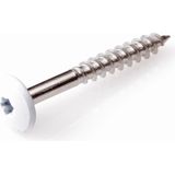 HPL - Schroeven - RVS A2 - Gekleurde Kop - TX-20 Aandrijving