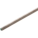 Hoenderdaal - Draadeind RVS A2 - 1000 mm