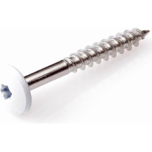 Hpl Schroef 4,8x38 RVS - Ral1013 - Parelwit - 100 Stuks