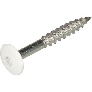 Schroef voor Trespa® RVS A2 - 4.8 x 25 mm - T20 - RAL9010 zuiver wit- doos á 100 stuks