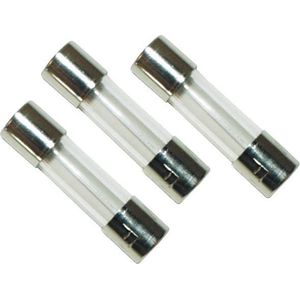 Elektrofix glaszekering 2.5 ampere - 5 x 20 mm - tbv dimmers - 3 stuks