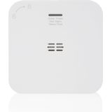 Smartwares Slimme Koolmonoxide Melder - 10 Jaar Levensduur - 85 DB - FGA-13800