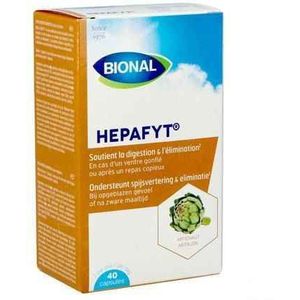 Hepafyt® - Voedingssupplement - Natuurlijke Plantenmix - Artisjok - Mariadistel - Kurkuma