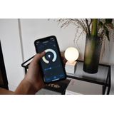Calex - Smart Lamp - E27 - Globe G125 - Dimbaar - 2200K-4000K - 1055 Lumen - 7.5W