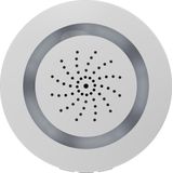 Calex - Slimme Sirene - Alarmbeveiliging - Stopcontact - 100db