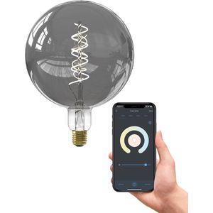 Calex - Smart LED Lamp - Dimbaar - Coating - Geschikt voor Divers Gebruik