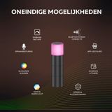 Calex - Smart Outdoor LED - Grondspot - RGB en Warm Wit Licht - Zwart