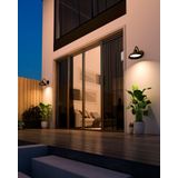 Calex Smart Outdoor LED Buitenlamp - Slimme Wandlamp Klassiek - RGB en Warm Wit Licht - 4W - Zwart