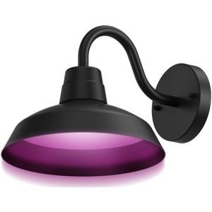 Calex Smart Outdoor LED Buitenlamp - Slimme Wandlamp Klassiek - RGB en Warm Wit Licht - 4W - Zwart