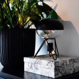 Calex Black & Gold lamp E27 | Boden | Kopspiegel | 1800K | Dimbaar | Zwart | 6W