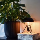 Calex Boden Kopspiegel Zwart - E27 LED Lamp - Filament Lichtbron Dimbaar - 6W - Warm Wit Licht