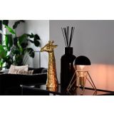 Calex G125 Kopspiegel Zwart - E27 LED Lamp - Filament Lichtbron Dimbaar - 4W - Warm Wit Licht