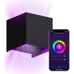 LSC Smart Connect outdoor wandlamp