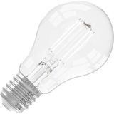 Filament LED Lamp - Peer - Dimbaar - Warm Wit - E27 - 7.5 Watt